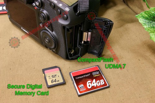 memory_card_SD_FC_03.jpg